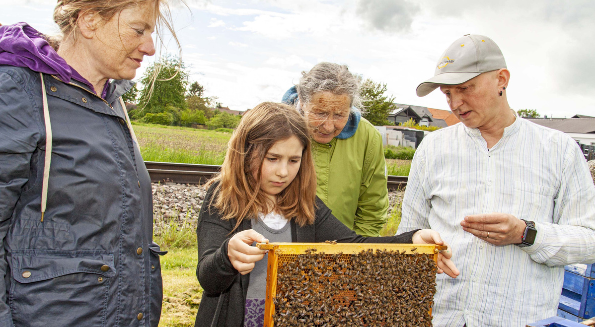  Eine junge Person hält vorsichtig einen Bienenstockrahmen voller Bienen, während drei Erwachsene danebenstehen und zusehen. Alle sind im Freien, mit einer unscharfen Landschaft und Eisenbahnschienen im Hintergrund.
