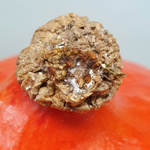 "Ein runder Ausschnitt, der den Stielansatz eines orangefarbenen Hokkaido-Kürbisses aus der Nahaufnahme zeigt, wobei der Stielansatz von weißem Schimmel befallen ist, mit der Beschriftung 'Hokkaido mit Schimmel am Stiel'.