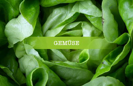 Frische grüne Blätter von Salat mit Überschrift "Gemüse"