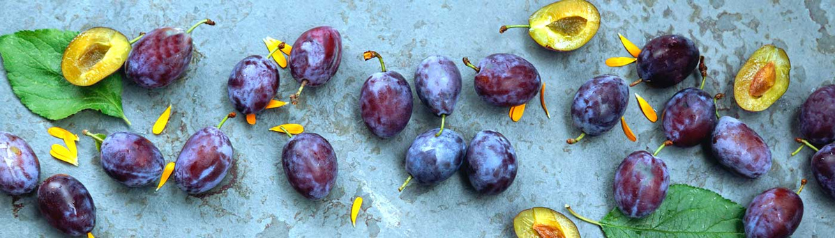 Frische Pflaumen und halbierte Früchte liegen dekorativ auf einer Steinoberfläche. In der Mitte steht auf grünem Hintergrund der Text: ‚Warenkunde – Was steckt da in meiner Ökokiste?‘