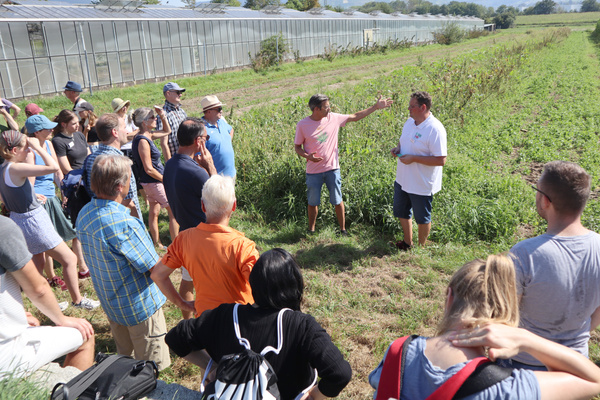 Eine Gruppe von Erwachsenen und Kindern steht auf einem Feld mit niedrigen Pflanzen. Im Hintergrund ist eine große Gewächshausstruktur zu sehen. Ein Mann zeigt auf die Pflanzen, während die anderen aufmerksam zuhören.