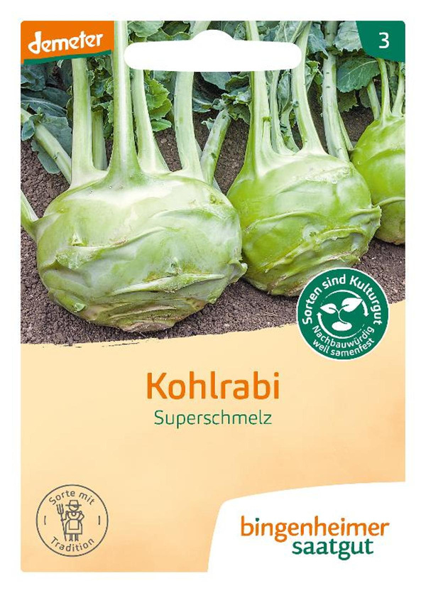 Produktfoto zu Saatgut Kohlrabi weiß Superschmelz