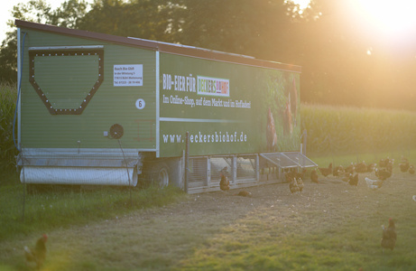 Ein grünes Hühnermobil steht bei Sonnenaufgang auf einem Feld. Das Sonnenlicht erzeugt einen starken Glanz.