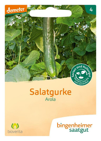 Produktfoto zu Saatgut Salatgurke Arola