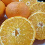 Ein runder Ausschnitt, der eine ganze Orange und mehrere quer geschnittene Orangenscheiben mit sichtbaren Segmenten und Saftbläschen zeigt.