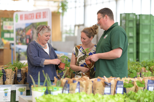 Drei Personen – zwei Frauen und ein Mann – stehen an einem Jungpflanzenstand, der mit zahlreichen Topfpflanzen und Kräutern, hauptsächlich Basilikum, gefüllt ist. Eine Frau in einem hellen Oberteil hält eine kleine Pflanze in der Hand und schaut sie sich an, während der Mann in einem grünen Hemd und die andere Frau in einem dunklen Oberteil aufmerksam zuhören oder zusehen. Im Hintergrund sind weitere Pflanzenregale und Menschen zu erkennen.
