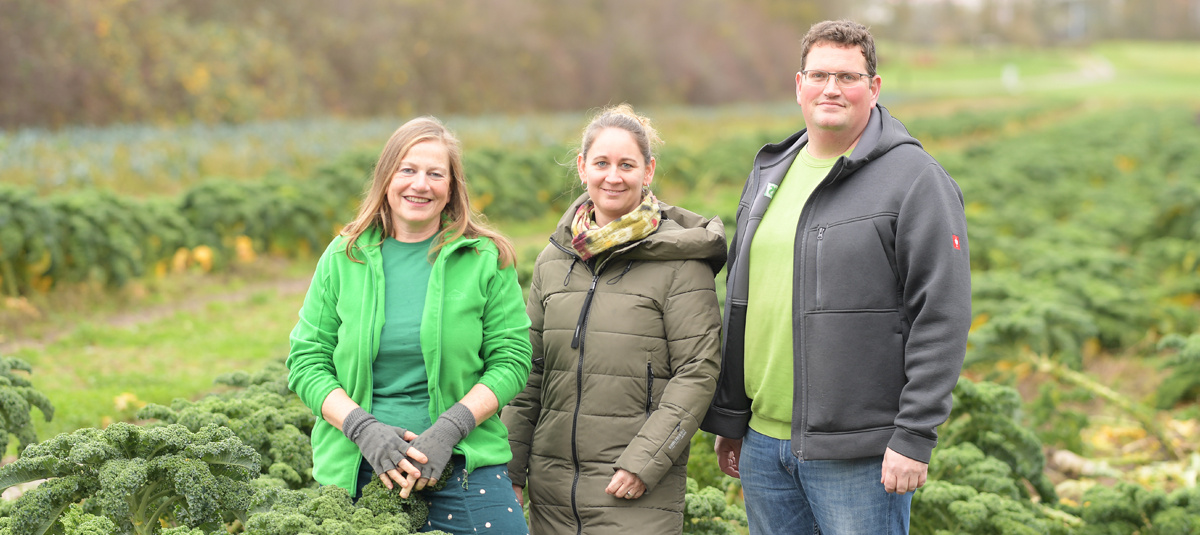KI generiert: Drei Personen stehen in einem Feld mit Grünkohl.