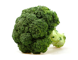 Ein Brokkolikopf auf weißem Hintergrund.