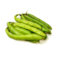 Einige grüne Bohnen liegen auf weißem Hintergrund.