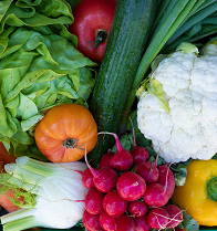 Verschiedene frische Gemüsesorten in einer Kiste, darunter grüne Salatblätter, eine orangefarbene Tomate, Radieschen, eine Gurke, Blumenkohl und gelbe Paprika.