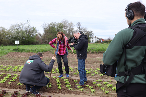 Drei Personen stehen auf einem Feld mit jungen Pflanzreihen, während eine Person kniet und mit einem Holzstab im Boden arbeitet. Zwei Kameraleute filmen die Szene.