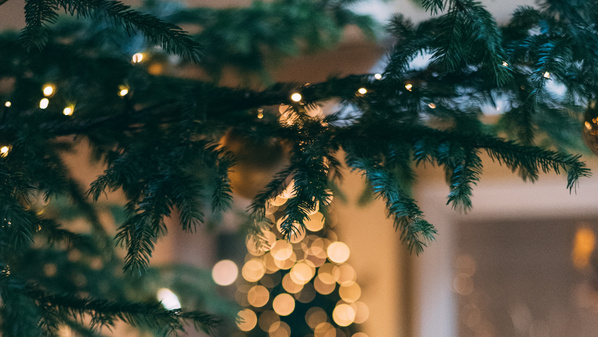 Ein geschmückter Weihnachtsbaum mit Lichtern vor einem Hausfenster.