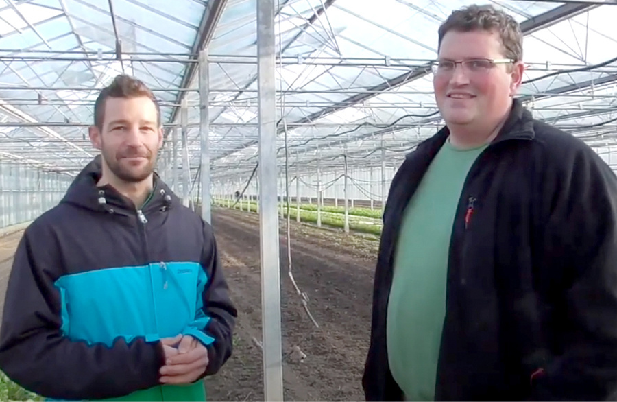  In diesem Bild stehen zwei Männer in einem Gewächshaus. Der Mann auf der linken Seite trägt eine marineblaue Jacke mit einem breiten, türkisfarbenen Streifen. Der Mann auf der rechten Seite trägt eine schwarze Jacke über einem hellgrünen Hemd. Im Hintergrund sieht man Reihen von Pflanzen, die in der Erde wachsen, sowie die Metallstruktur des Gewächshauses.