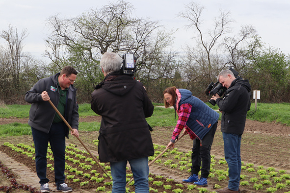Vier Personen stehen auf einem Feld mit Pflanzreihen. Eine Frau arbeitet mit einem Holzstab im Boden, während drei Männer zusehen und zwei Kameraleute filmen.