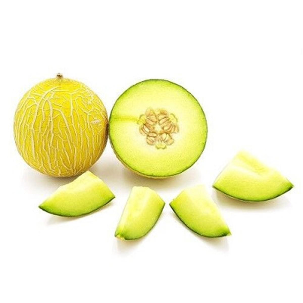 Produktfoto zu Melone Galiamelone