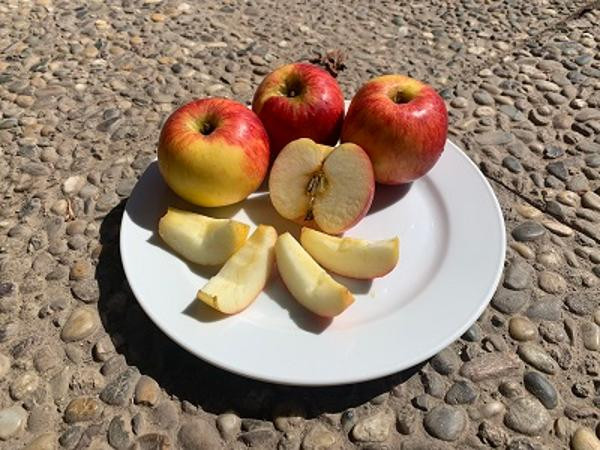 Produktfoto zu Apfel Juliet