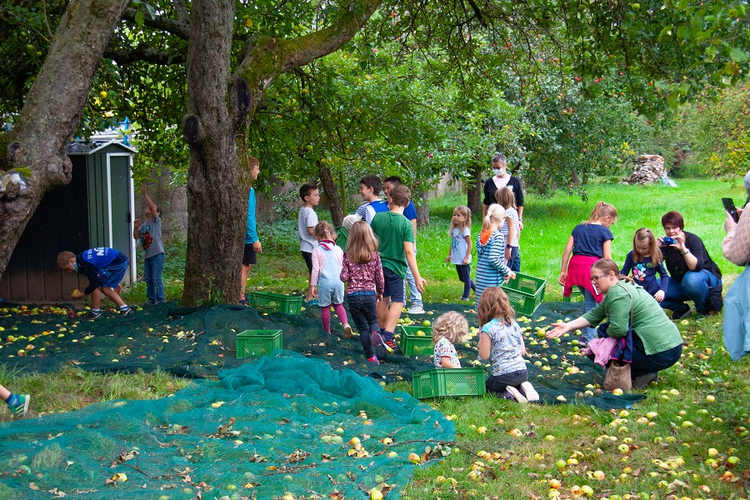 Kinder erleben einen ereignisreichen Tag auf Deckers Biohof