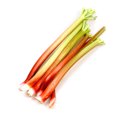 Ein Bund frischer Rhabarberstangen auf weißem Hintergrund.
