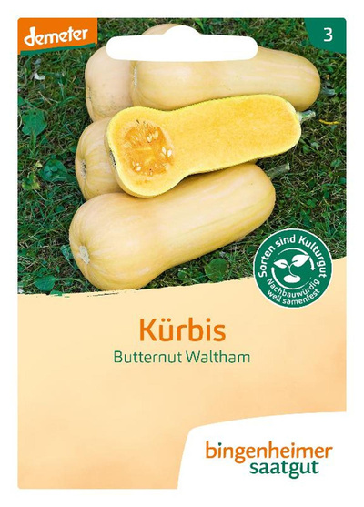 Produktfoto zu Saatgut Kürbis Butternut Waltham