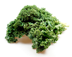 in Bund frischer Grünkohl auf weißem Hintergrund.