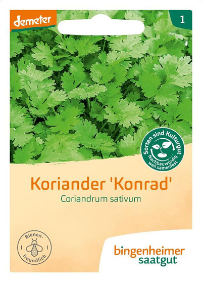 Produktfoto zu Saatgut Koriander Coriandrum sativum