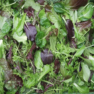 Produktfoto zu Schnittsalat mix