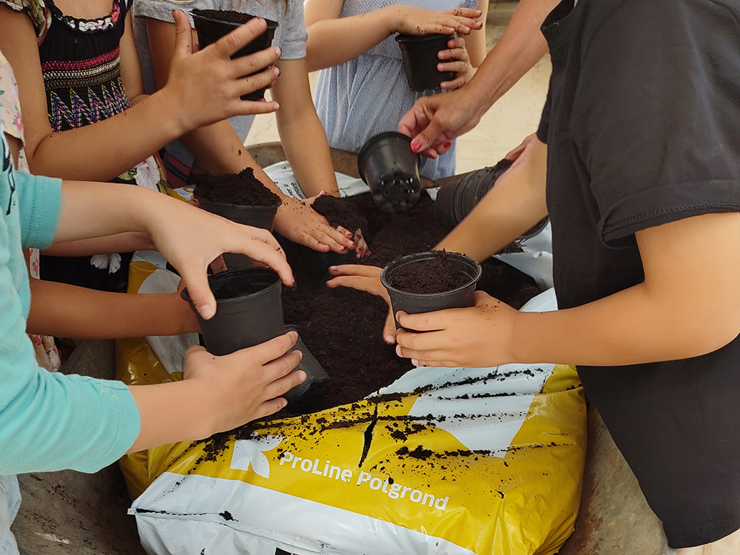 Eine Nahaufnahme von mehreren Kinderhänden, die in einem großen, weißen Sack voller Erde arbeiten. Die Kinder füllen die Erde in kleine, schwarze Blumentöpfe, die sie in der Hand halten.