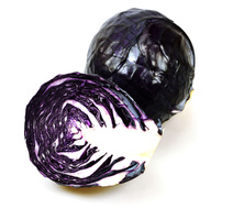 Ein ganzer und ein halber Rotkohl vor weißem Hintergrund.