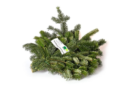 Produktfoto zu Nordmanntanne Handbunde