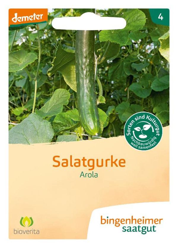 Produktfoto zu Saatgut Salatgurke Arola