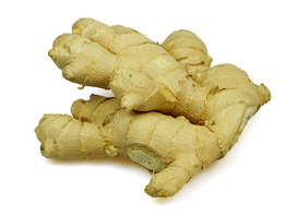 Ein frisches Ingwer-Rhizom auf weißem Hintergrund.