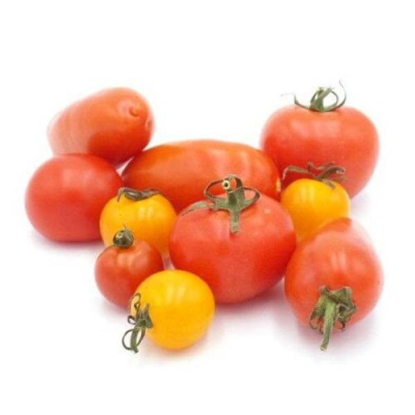 Produktfoto zu Tomaten Kochtomaten alte Sorten