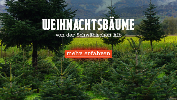 KI generiert: Weihnachtsbaumplantage im Freien. Text: "WEIHNACHTSBÄUME von der Schwäbischen Alb, mehr erfahren".