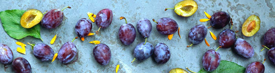 Frische Pflaumen und halbierte Früchte liegen dekorativ auf einer Steinoberfläche. In der Mitte steht auf grünem Hintergrund der Text: ‚Warenkunde – Was steckt da in meiner Ökokiste?‘