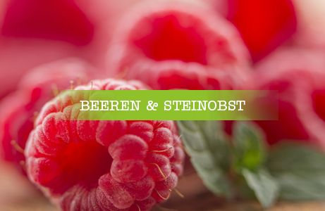 Beeren und Steinobst