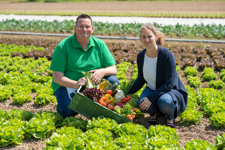 Christoph Decker und Leonie Schittenhelm sitzen in einem Salatfeld mit einer grünen Kiste voller frischem Gemüse – Symbolbild für nachhaltige Landwirtschaft und regionale Erzeugung.