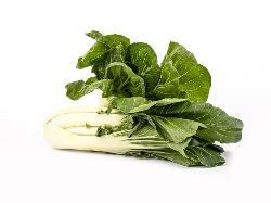 Produktfoto zu Pak Choi