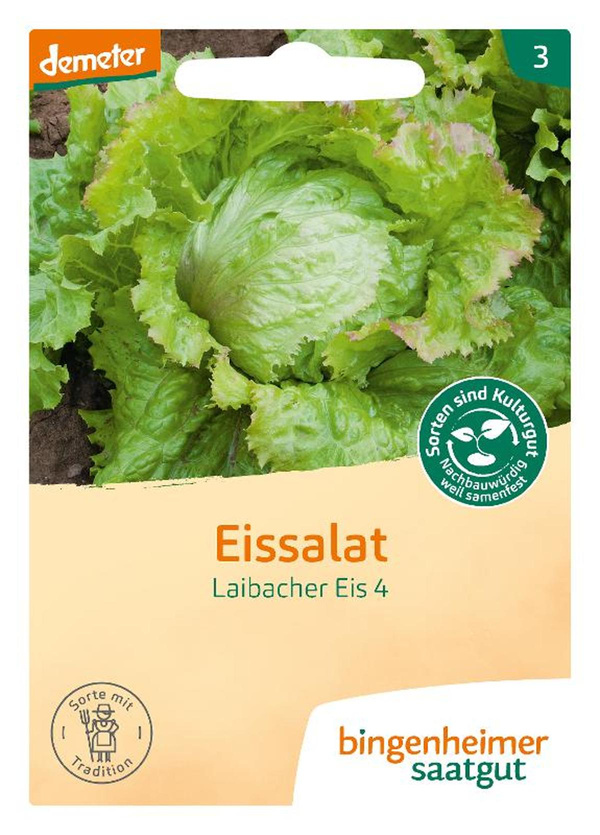 Produktfoto zu Saatgut Eisssalat Laibacher Eis