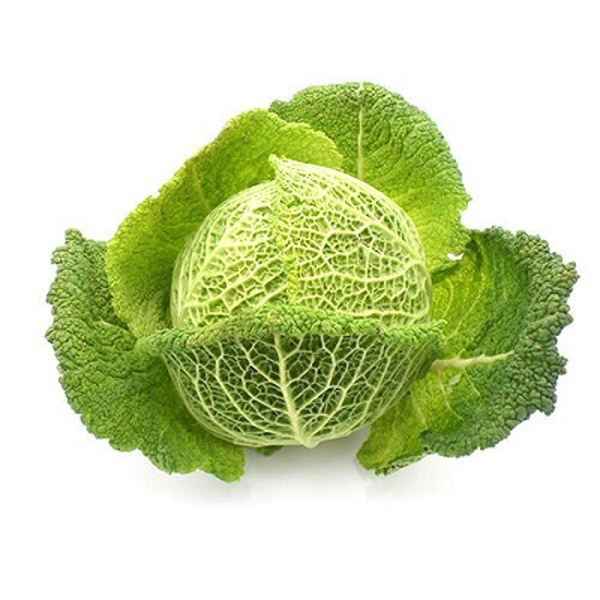 Produktfoto zu Wirsing groß XXL