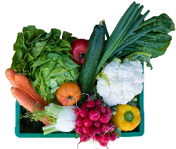 Produktfoto zu Rohkost/Vesperkiste groß