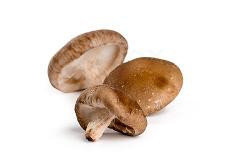 Produktfoto zu Pilze Shiitake