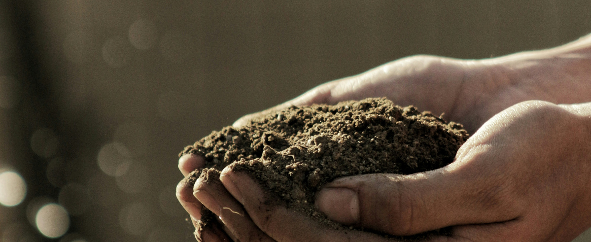 Zwei Hände halten Erde, während etwas davon herunterfällt.