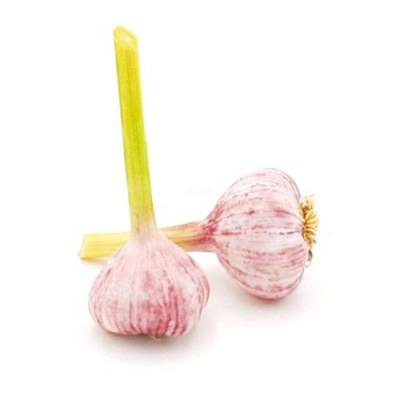 Produktfoto zu Knoblauch frisch