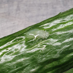 Ein runder Ausschnitt, der eine Nahaufnahme der Oberfläche einer Gurke zeigt, auf der sich ein Tropfen durchsichtiger Gurkenschleim befindet, mit der Beschriftung 'Gurke mit Gurkenschleim'