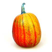 Ein bunter Kürbis mit orange-roten Streifen vor einem weißen Hintergrund.