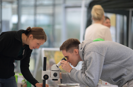 Zwei Personen, eine davon schaut durch ein Mikroskop, sind an einem Tisch beschäftigt.