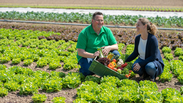 Christoph Decker und Leonie Schittenhelm kniend auf einem Feld mit Salatpflanzen, wobei sie einen Korb mit frisch geerntetem Gemüse halten