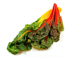 Bunter Mangold mit grünen Blättern und roten sowie gelben Stielen auf weißem Hintergrund.