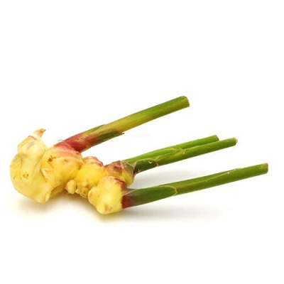 Produktfoto zu Ingwer jung frisch