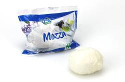 Produktfoto zu Mozzarella, 125 g